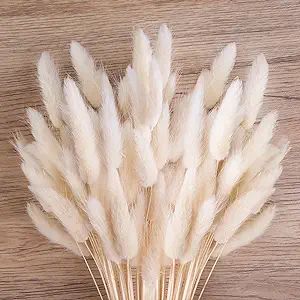 JOHOUSE 120 White Bunny Tails Dried Flowers, Lagurus Pampas Grass, Bunny Tails Handpicked Bunch, ... | Amazon (US)
