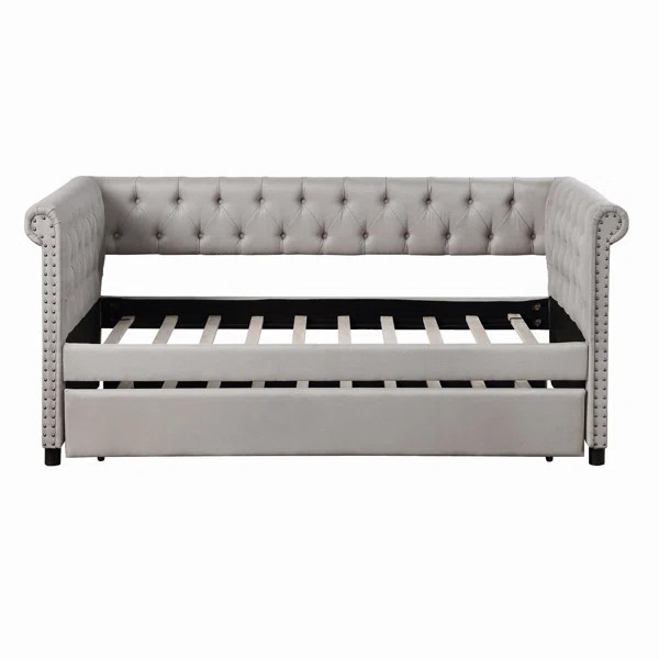 Derious Twin Daybed with Trundle by Harriet Bee | Wayfair North America