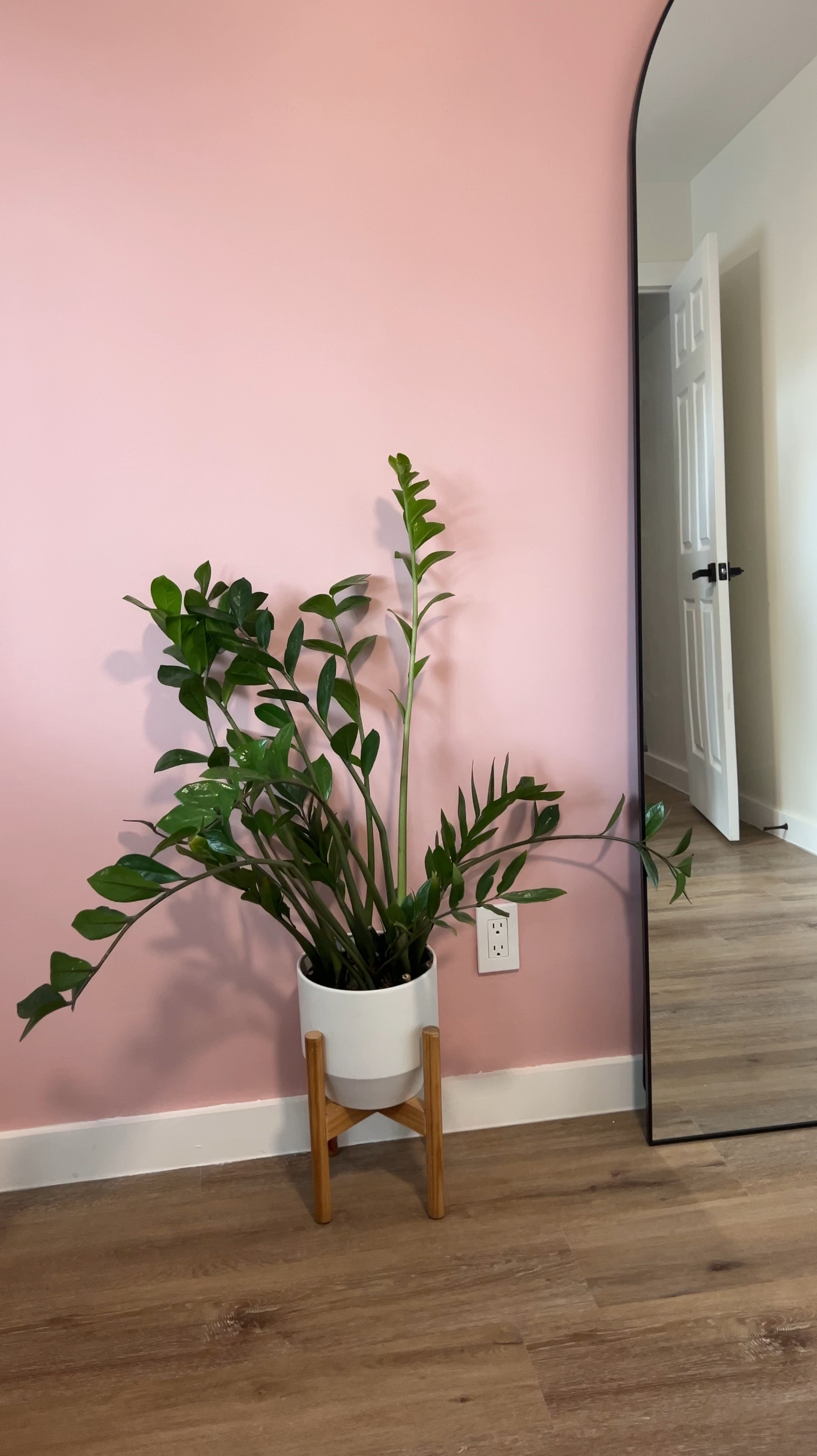 We just gave my office a little face lift & I loveeee how it turned out! 

Here are the details — 
Wall color is ‘Rose Colored’ by Sherwin Williams 
Mirror is amazon Full Length Mirror, 76"x34". It’s BIG! But doesn’t have support on the back of it, so I think it’d be best hung versus moved around. But the price!? Hard to beat for the size 

The plant — I linked the exact type of plant on this post. It’s a ZZ plant and I’ve had this since college. It’s very forgiving of inconsistency & adapts to most lighting conditions 

#LTKHome #LTKSeasonal