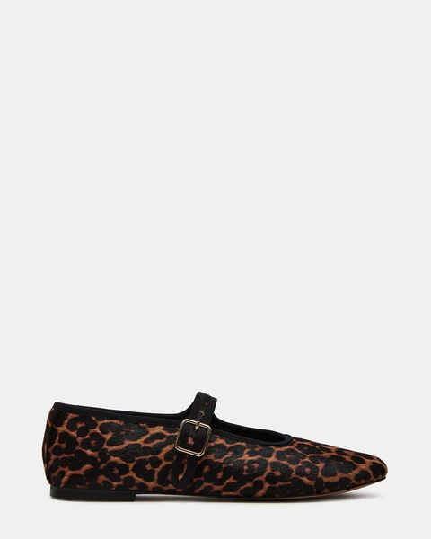 DREAMING LEOPARD | Steve Madden (US)