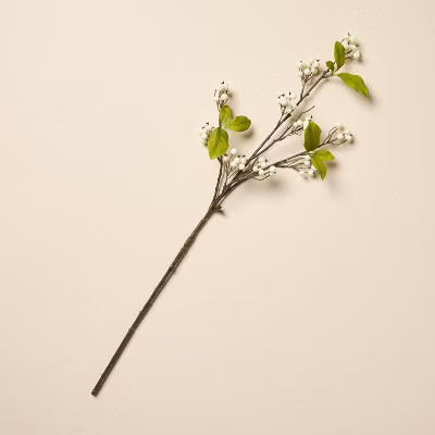 25" White Berry Artificial Stem - Hearth & Hand™ with Magnolia | Target