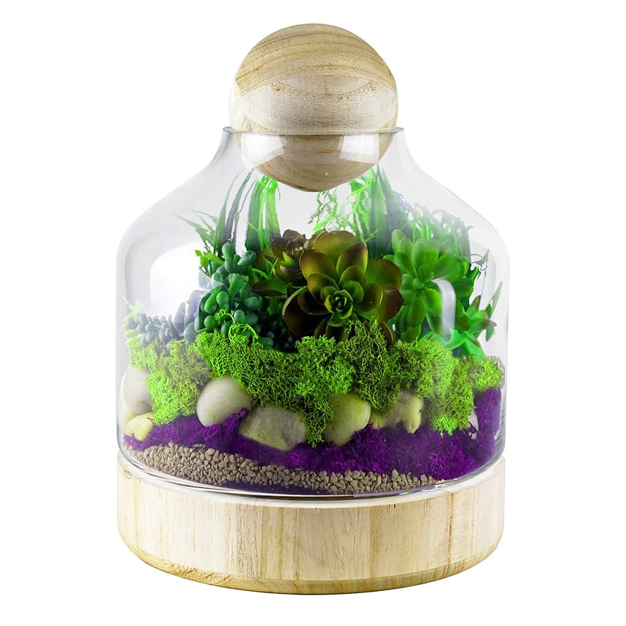 CYS EXCEL Glass Terrarium Container (H:10" W:7") | Multiple Size Choices Planter Jars with Wood B... | Amazon (US)