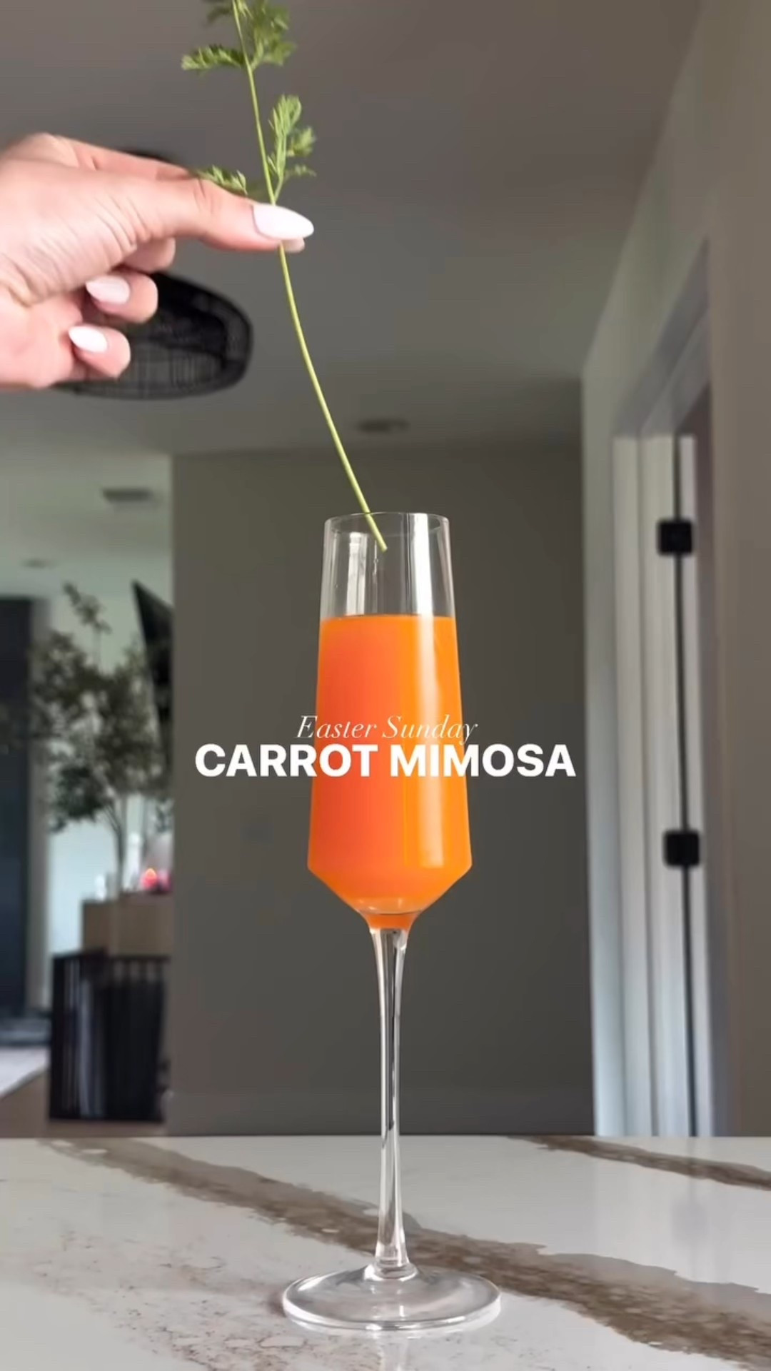 Everything you need to make a Carrot Mimosa 🥕🐣 