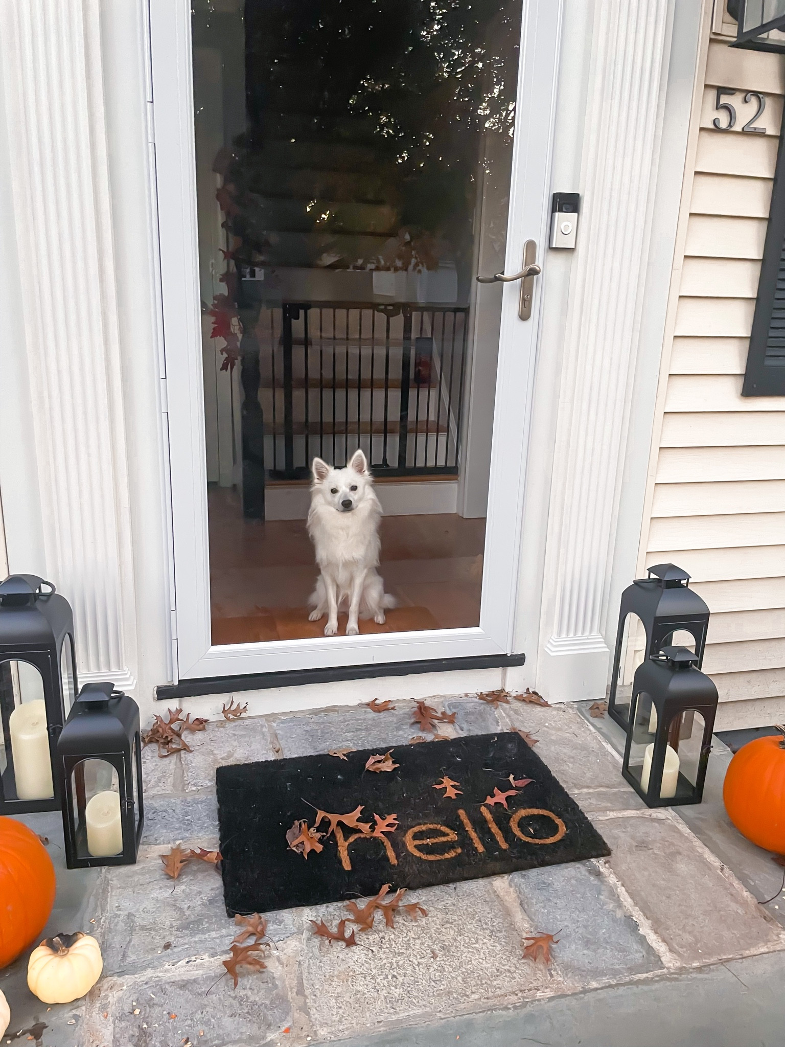 Fall front door mat


#LTKhome #LTKunder50 #LTKSeasonal