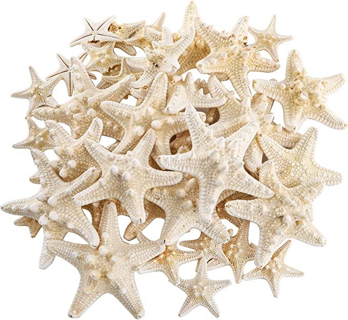 Okllen 40 Pieces Knobby Starfish Seashell, Natural Mixed Beach Starfish 1" to 2" and 2" to 3", DI... | Amazon (US)