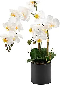 Amazon.com: Pmyra 17" White Fake Orchid Flowers with Black Ceramic Pot,Real Touch Orchids Artific... | Amazon (US)