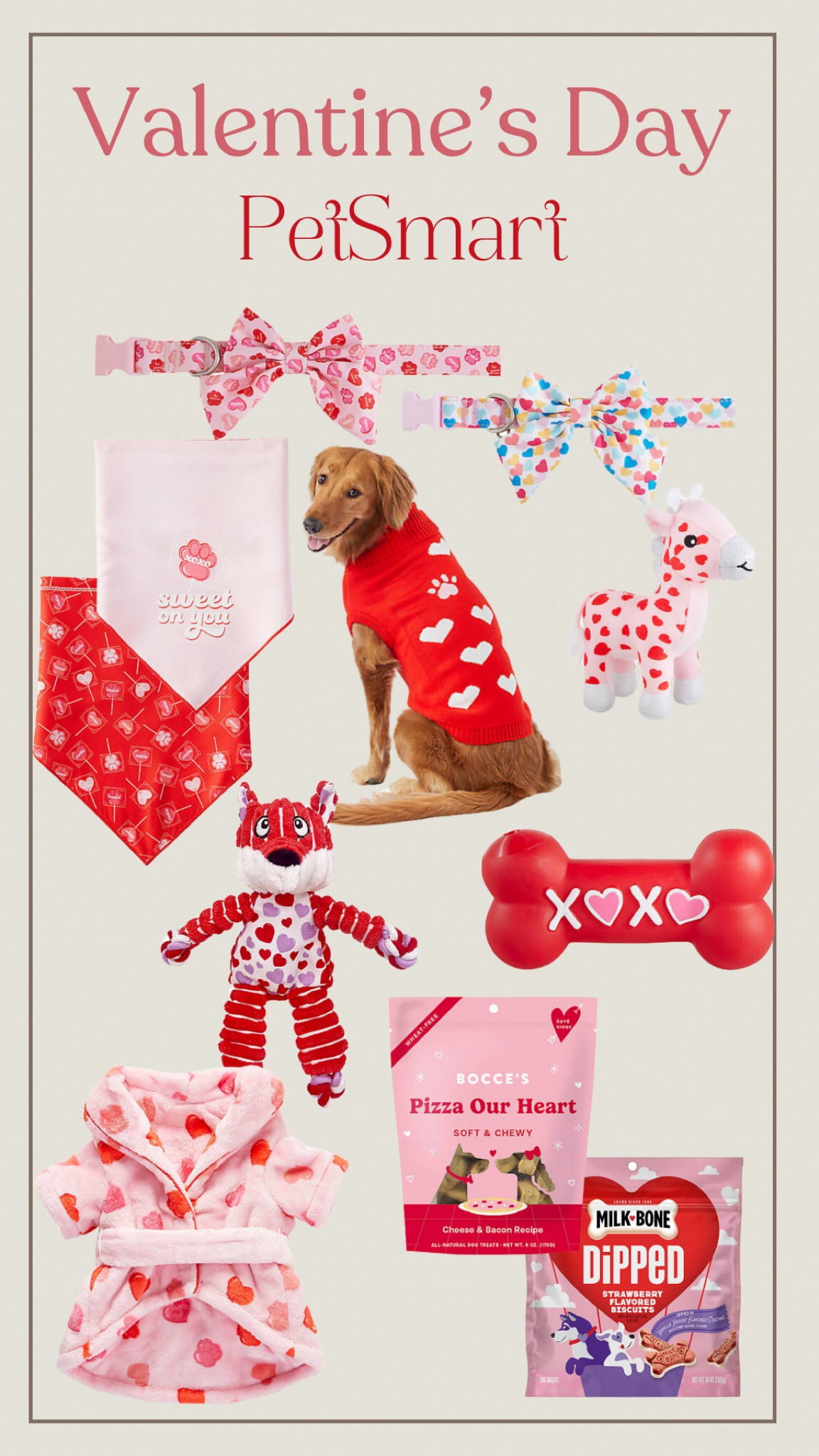 Valentines for our pets 

#LTKMostLoved #LTKGiftGuide #LTKU