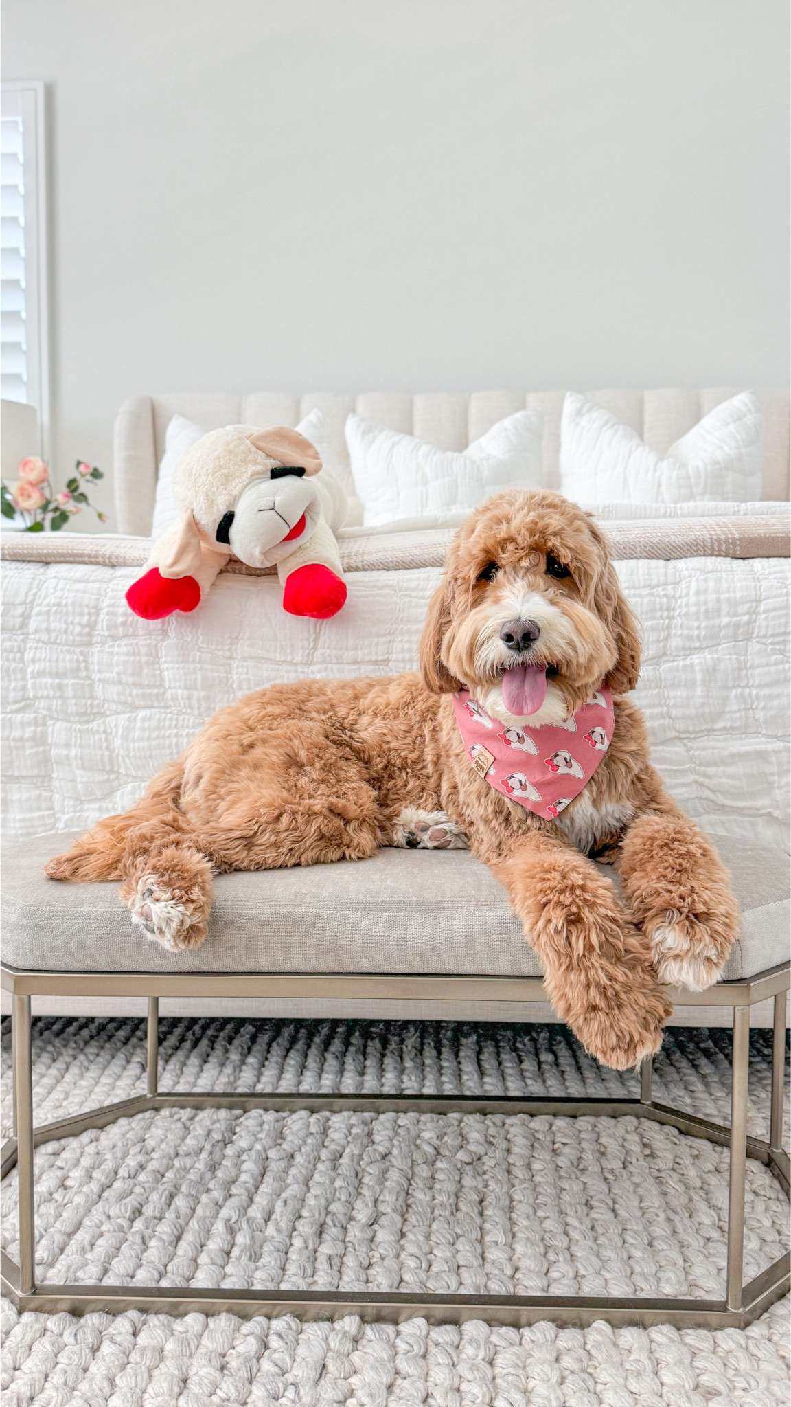 Neutral bedroom aesthetic, Modern bedding, bedroom furniture, bedroom sheets, white bedding, modern bedroom, aesthetic, dog toys

#LTKHome