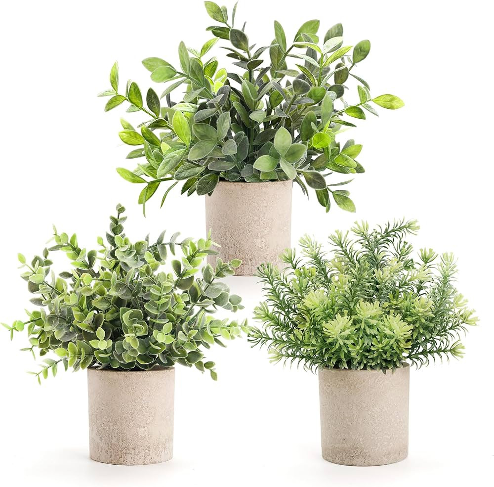 Der Rose 3 Pack Mini Potted Fake Plants Artificial Plastic Eucalyptus Plants Topiaries for Home O... | Amazon (US)