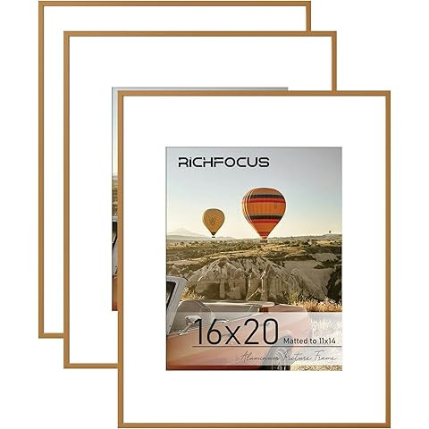 Golden State Art - 16x20 Metal Picture Frames with Mat - Display 11x14 Photo or 16x20 Poster - 16... | Amazon (US)