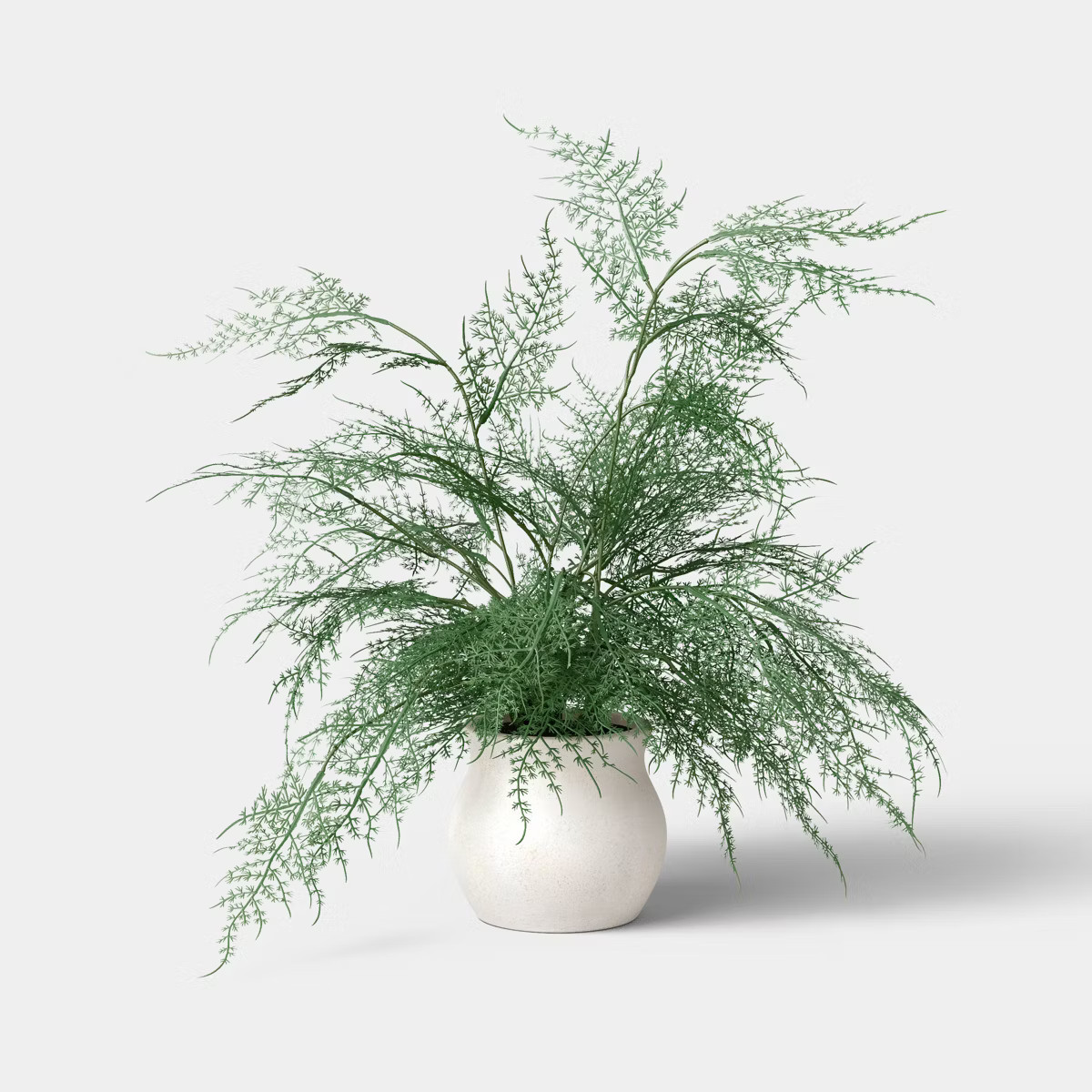 Asparagus Fern - Threshold™ | Target