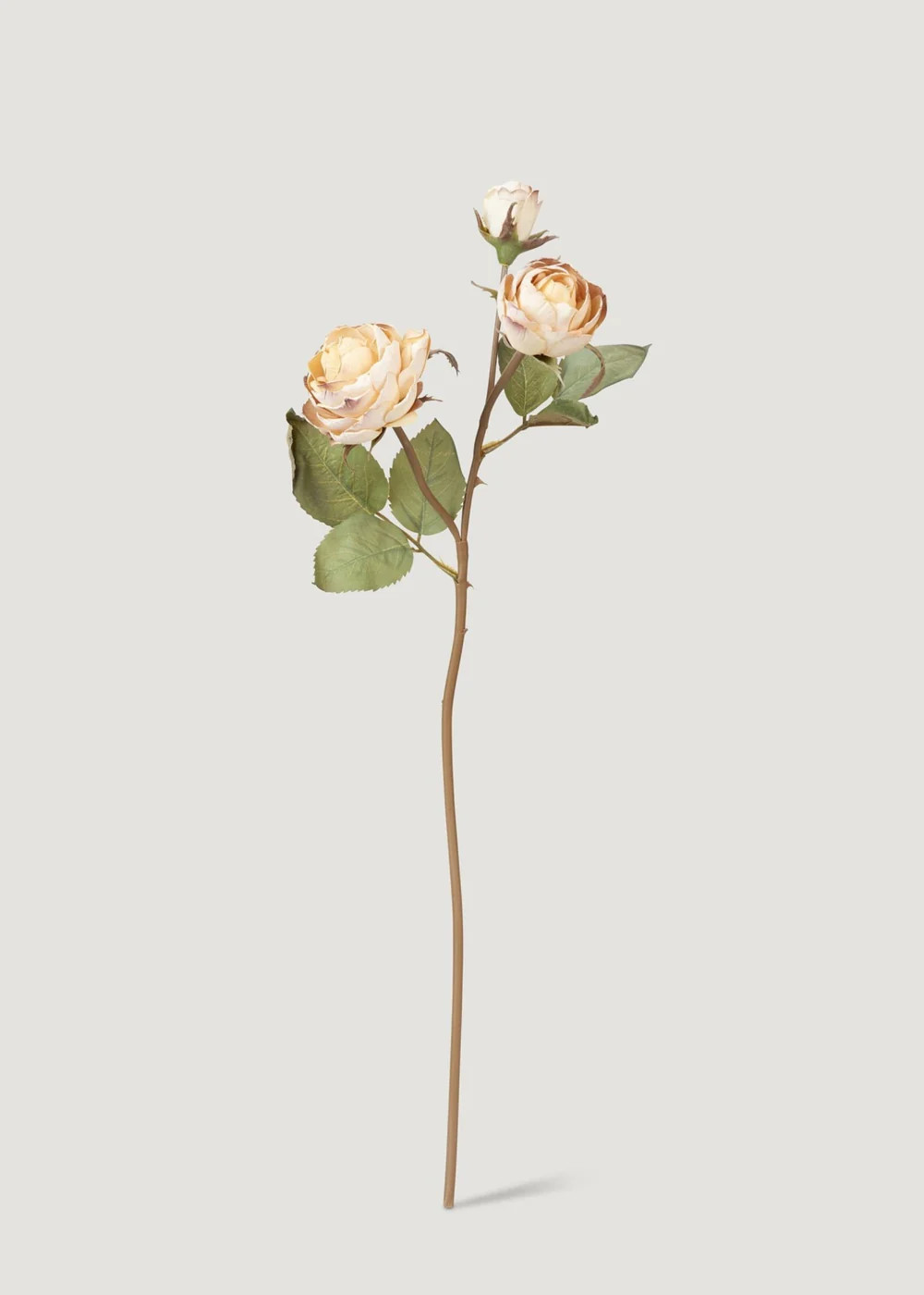Dried Look Fake Roses in Beige - 21" - Sweet Water Decor | Sweet Water Decor, LLC