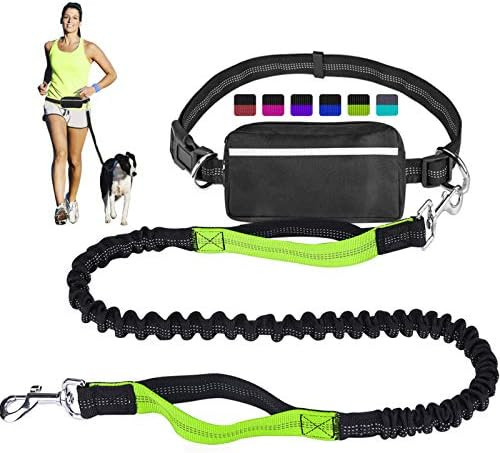 LANNEY Hands Free Dog Leash for Running Walking Training Hiking, Dual-Handle Reflective Bungee, P... | Amazon (US)