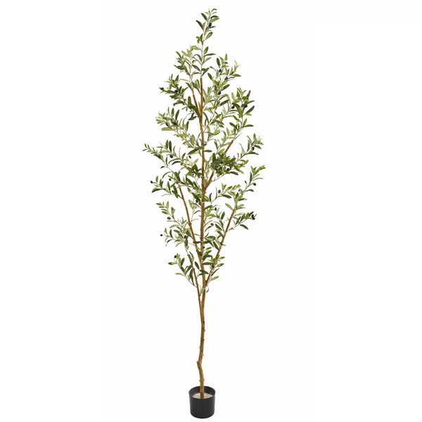 77" Artificial Olive Tree in Planter | Wayfair North America