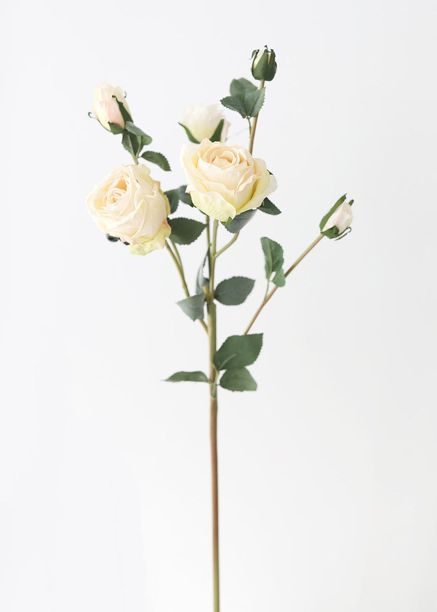 Faux Dried Rose in Cream - 27.5 | Afloral (US)