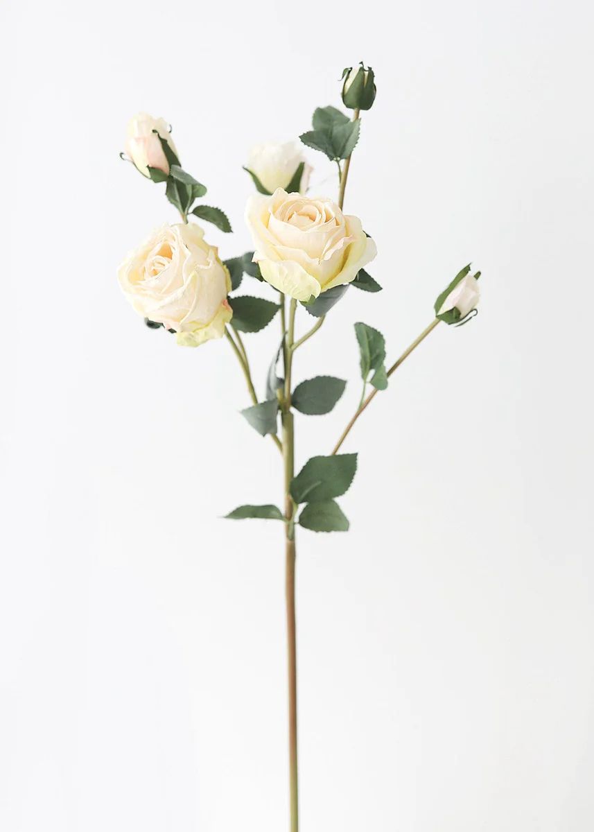 Faux Dried Rose in Cream - 27.5 | Afloral (US)