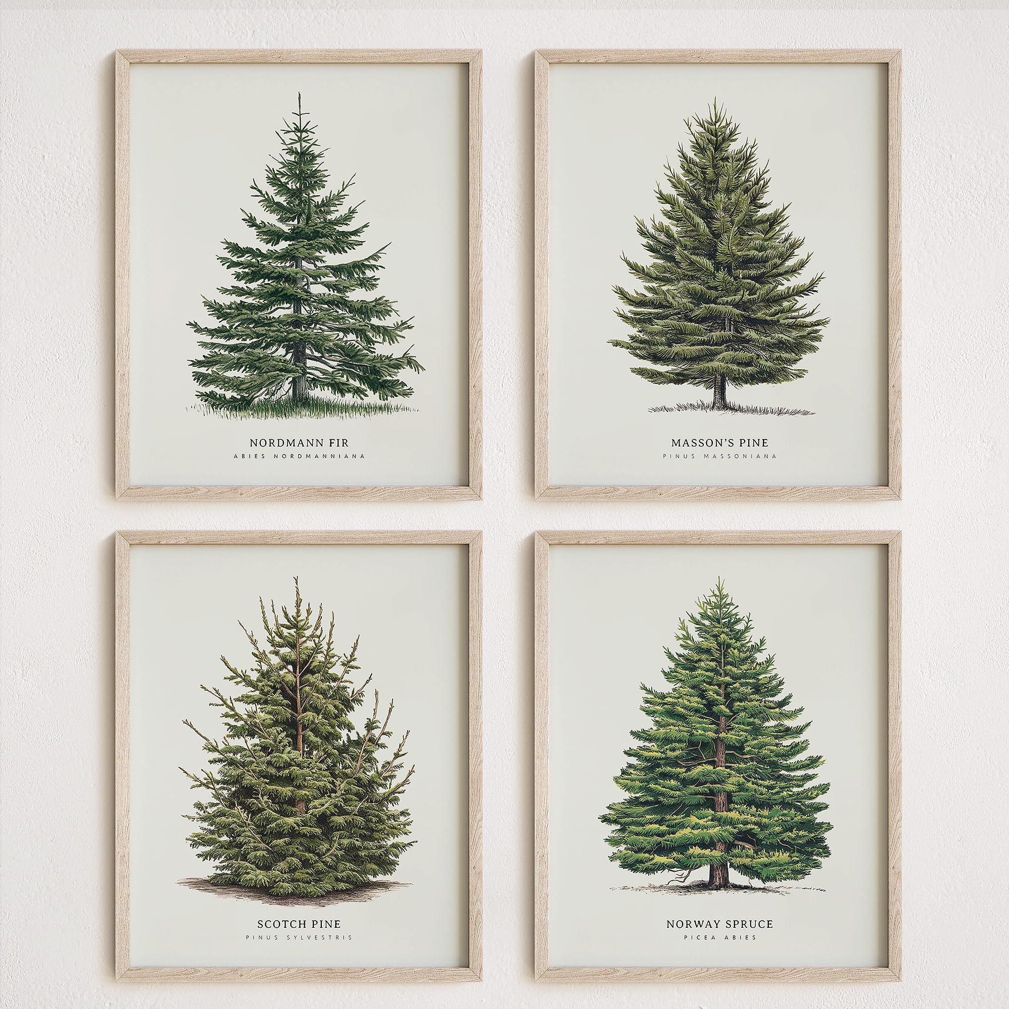 NOCTMETEOR 4Pcs Vintage Christmas Tree Wall Art, Artful 4 Pine Tree Botanical Prints, Winter Wall... | Amazon (US)
