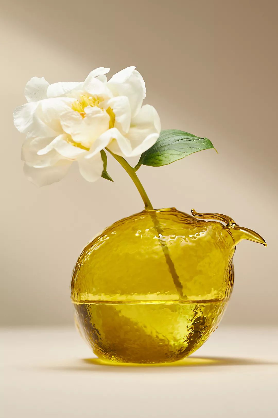 Summer Fruit Bud Vase | Anthropologie (US)