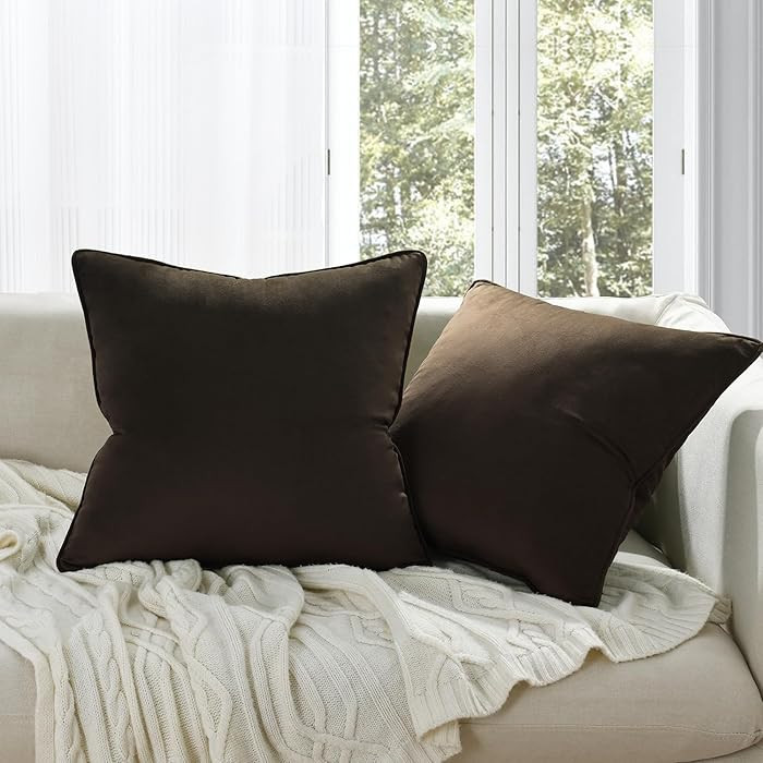 2 Pack Velvet Throw Pillow Covers for Couch, 16x16 Inches, Hidden Zipper Closure, Luxury Cozy Fuz... | Amazon (US)