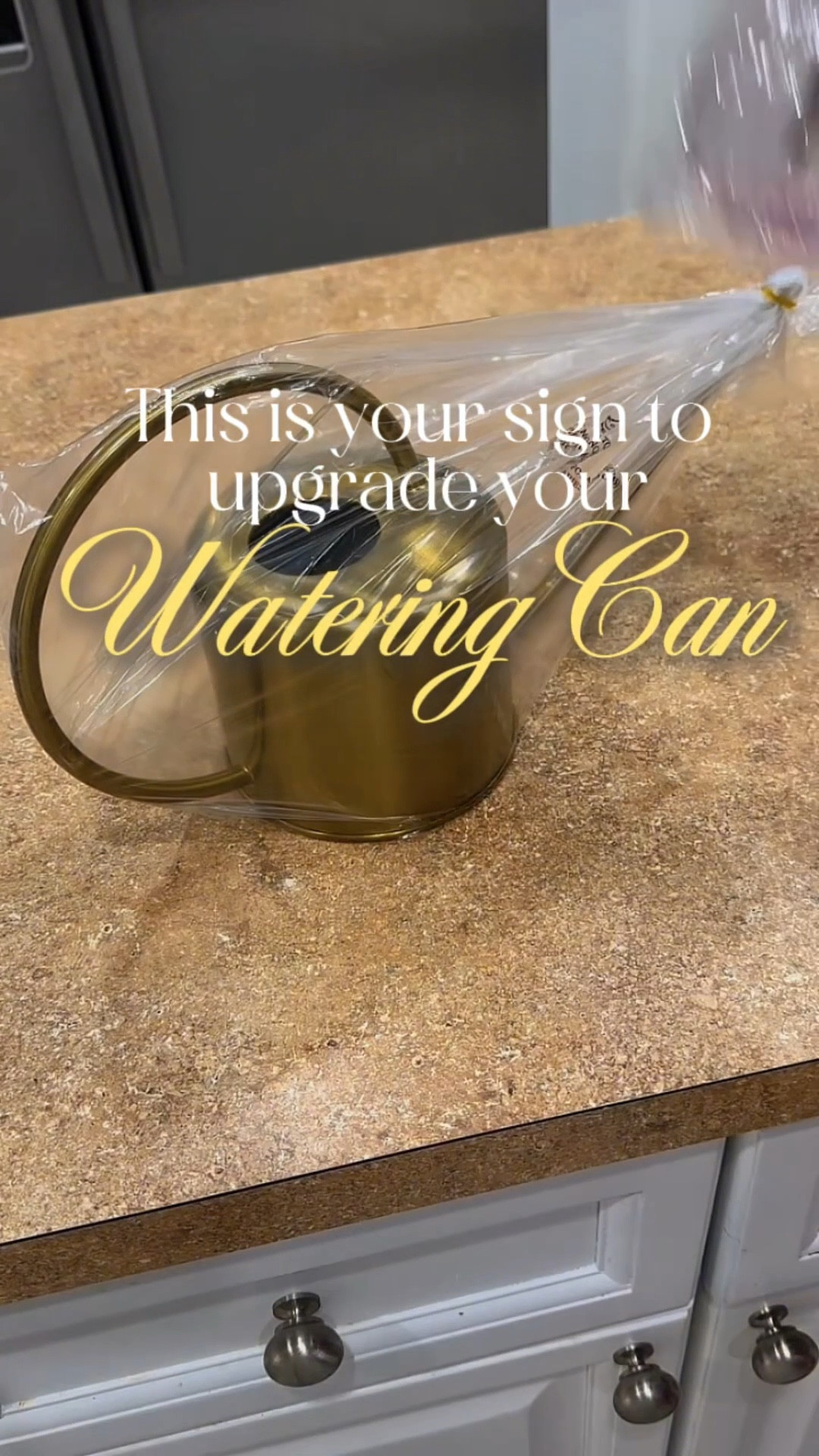 Okay… why is this Amazon watering can so cute? 😭🪴
I swear it makes watering my plants feel like a whole little moment. It’s lightweight, pours smoothly, and the design is actually aesthetic enough to leave out as décor — which is a win for me. 😂✨

#LTKstorytime #LTKmorningroutine #LTKHome