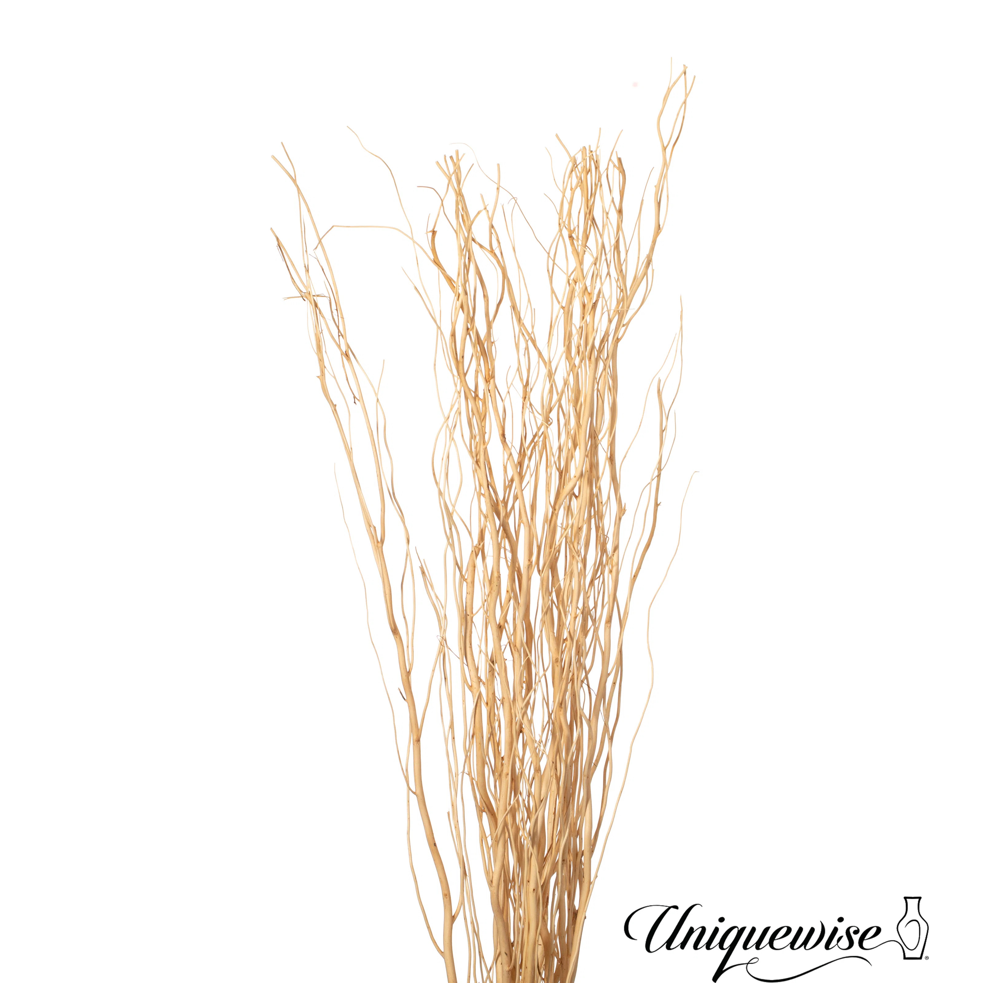 Primrue Seaford Willow Branches & Reviews | Wayfair | Wayfair North America