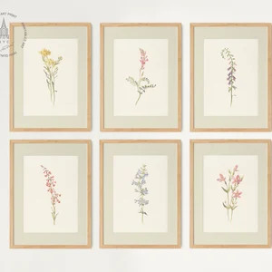 Vintage Botanical Prints Gallery Wall Set of 6, Floral Poster, Rustic Botanical Wall Art, Antique... | Etsy (US)