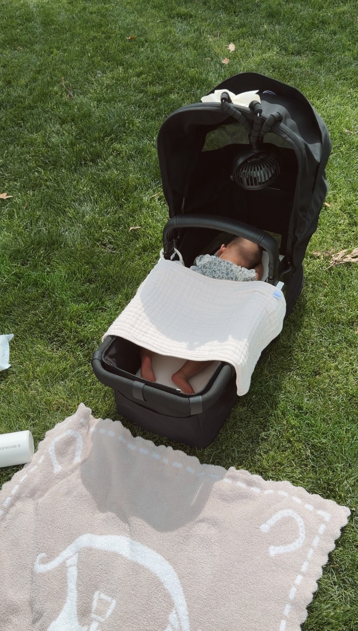 Arboretum playdate for big sis means baby sis naps in the bassinet. We are so happy with this double stroller! 

#LTKBaby #LTKmomlife