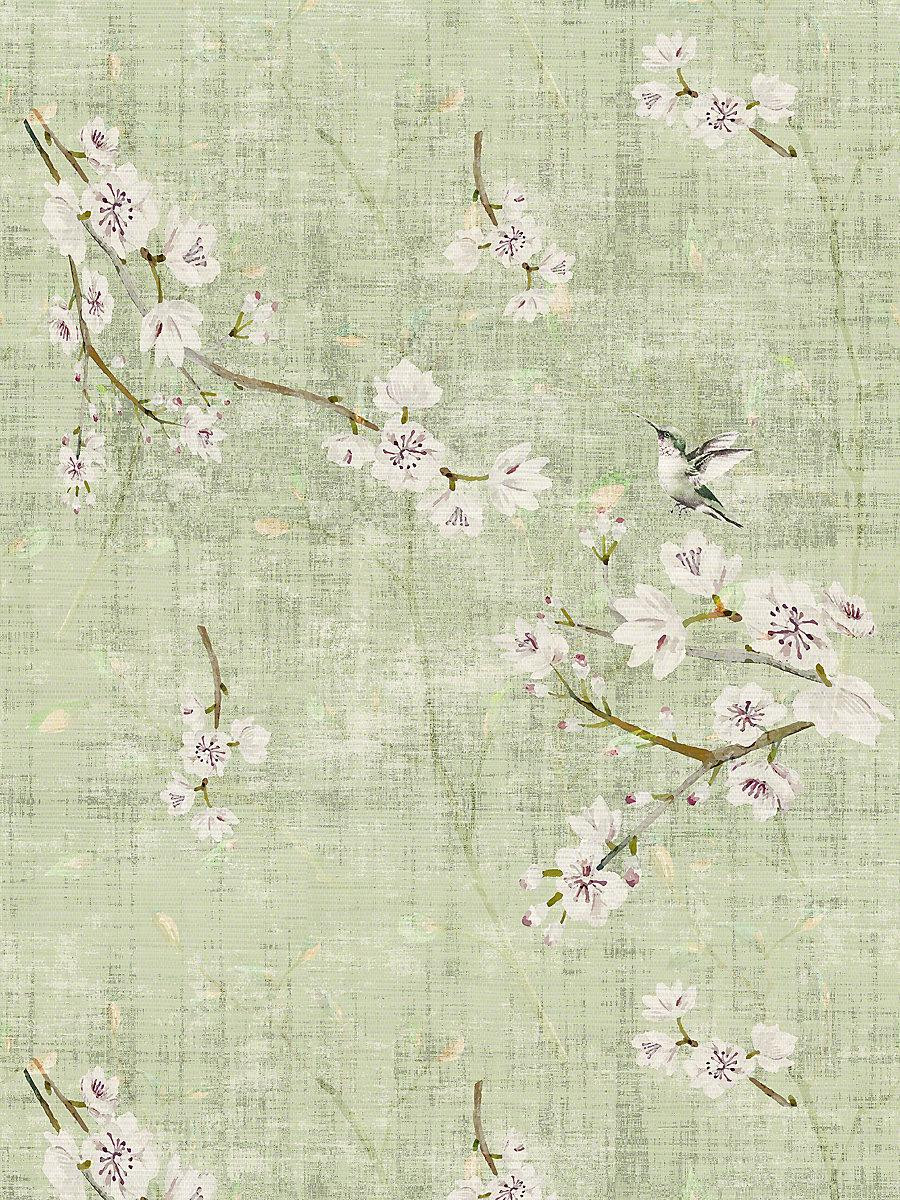 Scalamandre Blossom Fantasia Celadon Wallpaper | DecoratorsBest