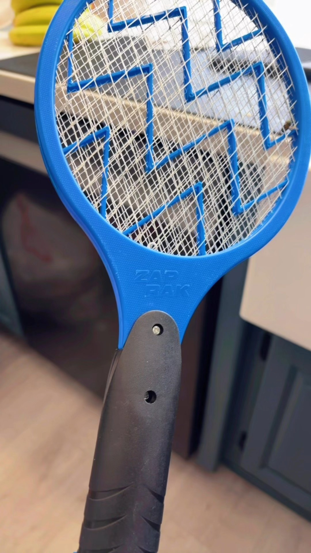 Fly and bug zapper, electric