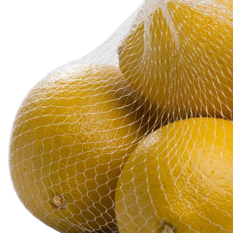 Shander Faux Lemons Sculpture | Wayfair North America
