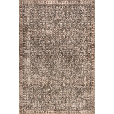 Nuloom Hillstone Collection Calianna Traditional Vintage Medallion Area Rug | Target
