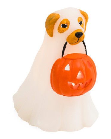 15.9Oz Led Dog Ghost Wax Figural Candle With Pumpkin Bucket | TJ Maxx