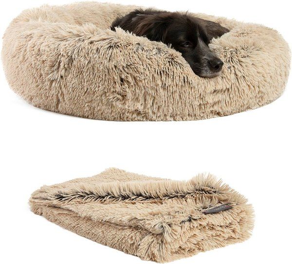 BEST FRIENDS BY SHERI The Original Calming Donut Dog Bed & Throw Dog Blanket, Taupe, Medium - Che... | Chewy.com