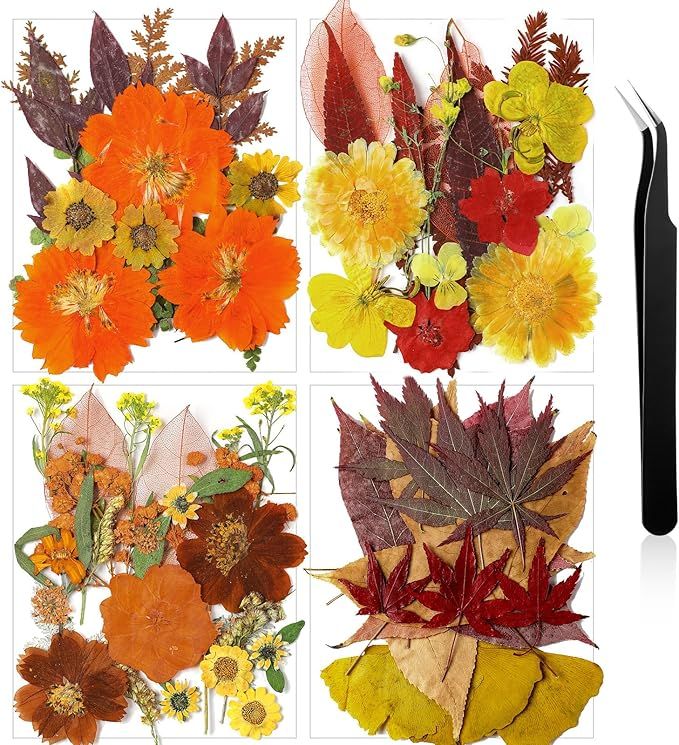 Pressed Flowers Bulk Dried Flower for Resin Mold, Dried Flower Leave Natural with Tweezer for Cra... | Amazon (US)