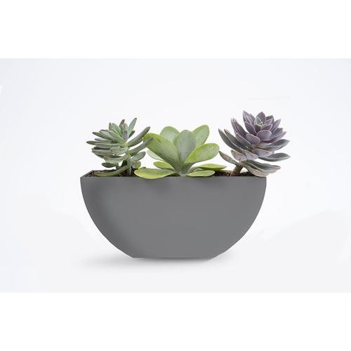 Bloem 10.95-in W x 5.18-in H Charcoal Plastic Planter | Lowe's