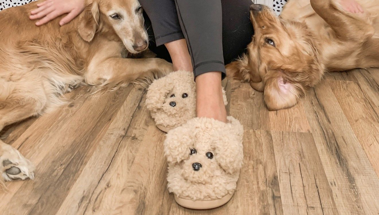 Golden Retriever Slippers | Callie Danielle