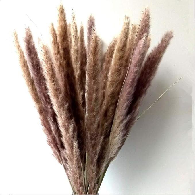 Natural Dried Lavender Bundles - Freshly Harvested Lavender Bunch Royal Velvet Decorative Flowers... | Amazon (US)