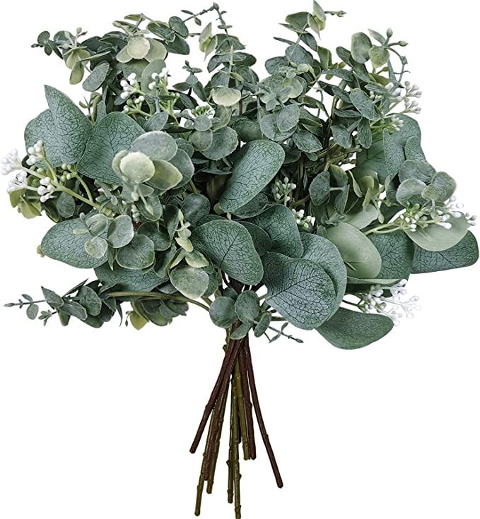 Amazon.com: Mixed Eucalyptus Leaves Stems Bulk Artificial Silver Dollar Eucalyptus Leaves Picks a... | Amazon (US)
