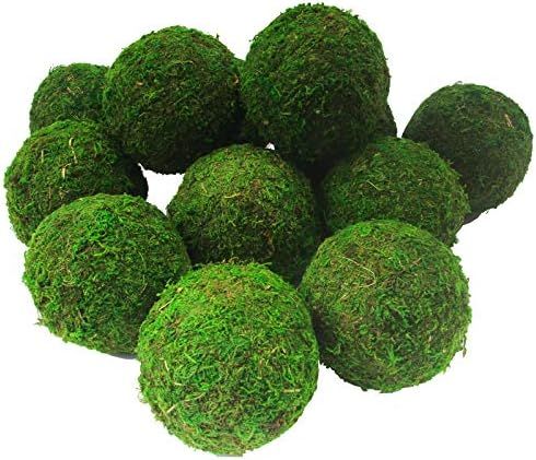 Green Moss Decorative Ball Natural 2.4"-Set of 12 | Amazon (US)