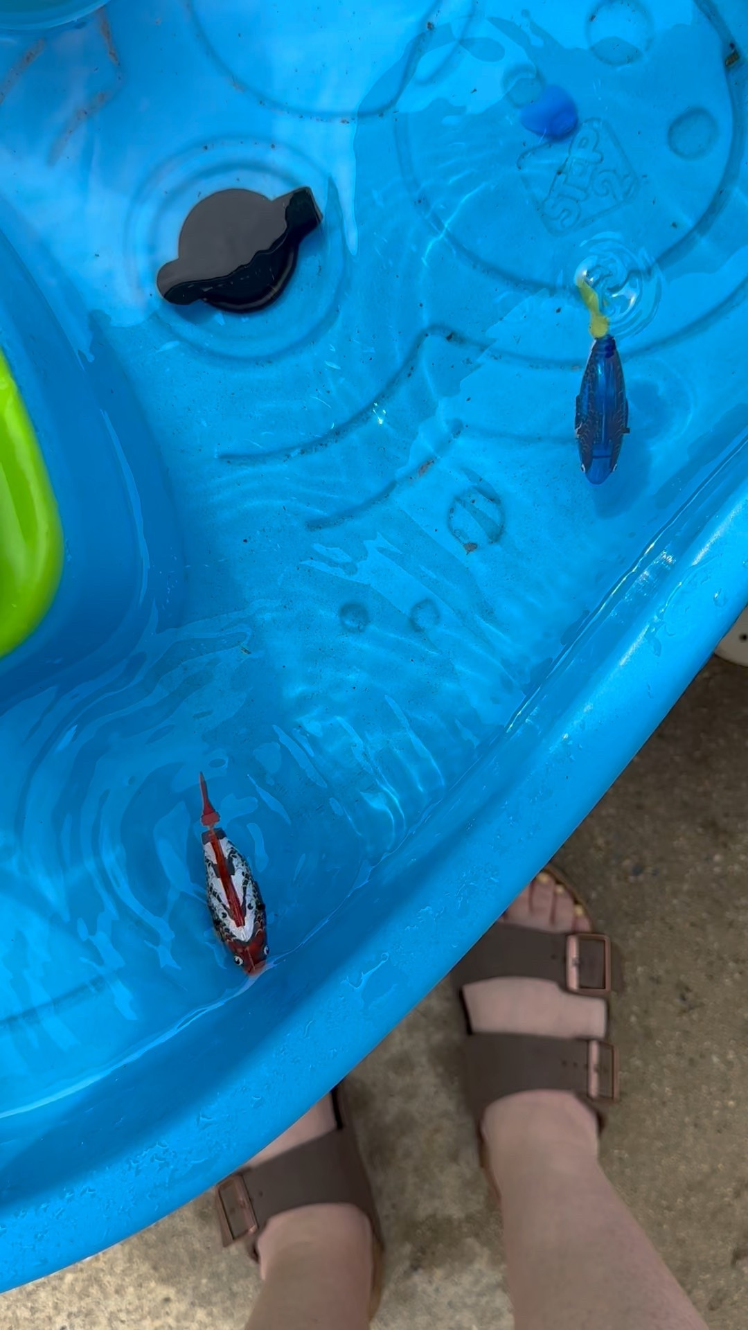 These fish are so cute and look so real! Great for sensory bins or water tables 

#LTKFindsUnder50 #LTKSwim #LTKKids