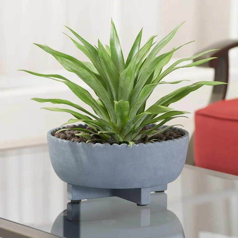 Better Homes & GardensBetter Homes and  Gardens Thalea  Scalloped Bowl with  StandUSD$9.98(4.3)4.... | Walmart (US)