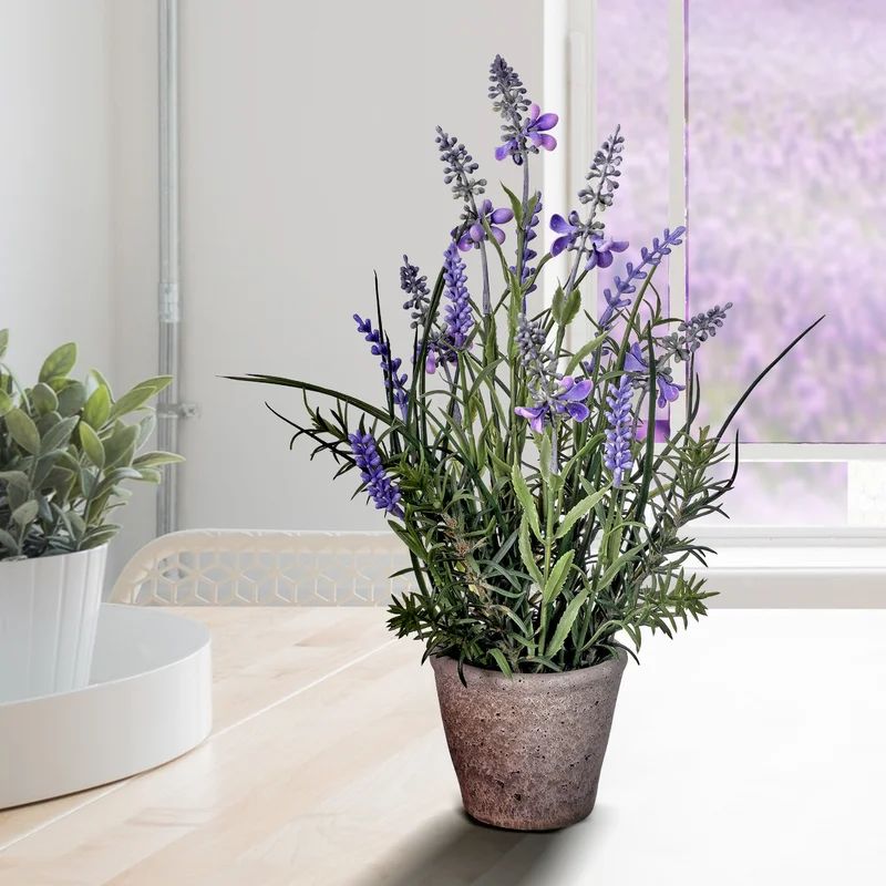 Lavender Floral Arrangement in Pot | Wayfair Professional