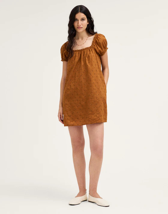 The Chateau Mini Dress | Madewell