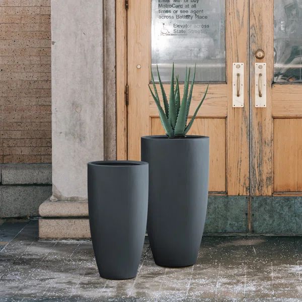 2 - Piece Cement Pot Planter Set (Set of 2) | Wayfair Professional
