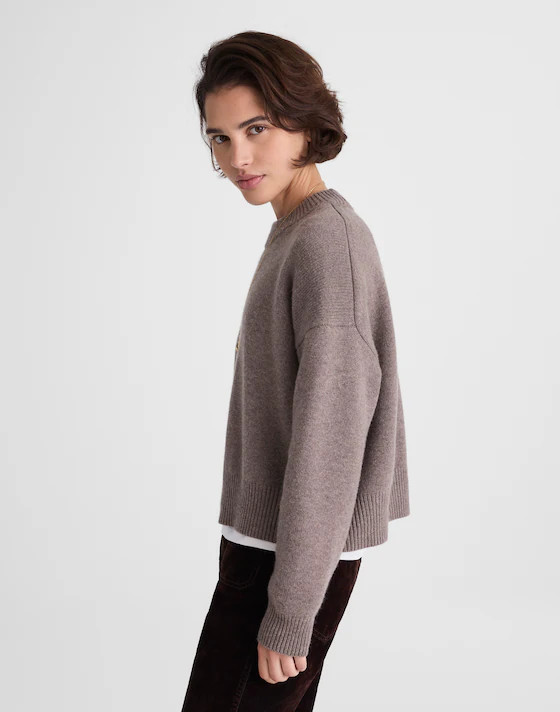 SoftWool Boxy Crewneck Sweater | Madewell