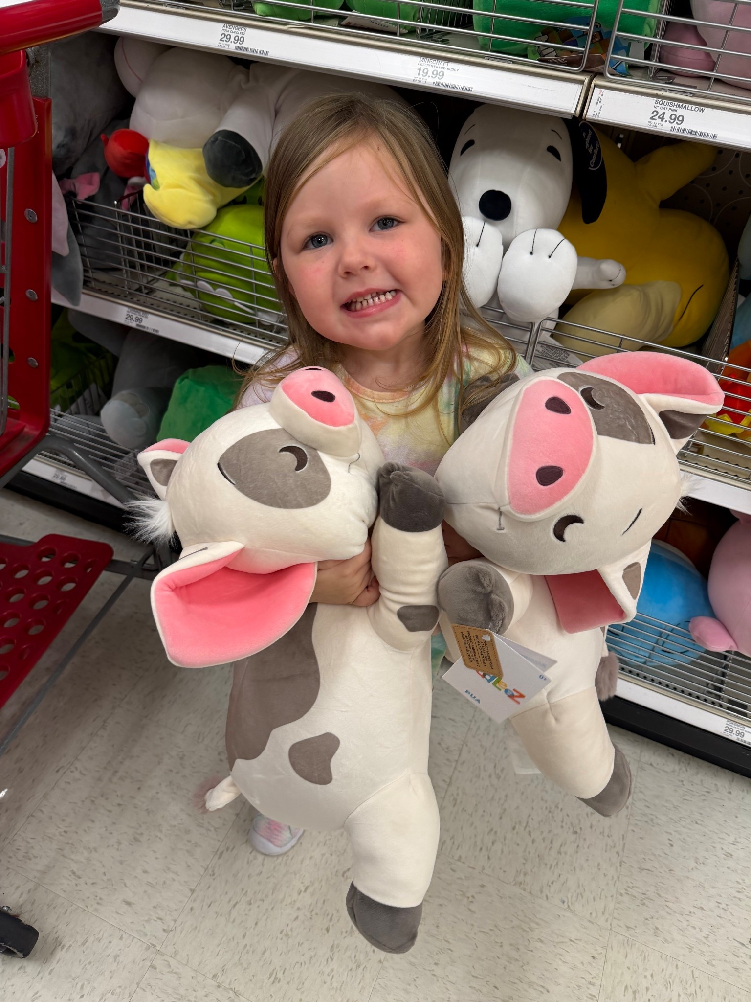 The softest & cutest stuffed animal toy from Moana 🐷🌺

#LTKKids #LTKBaby #LTKHome
