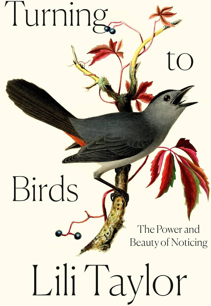 Turning to Birds: The Power and Beauty of Noticing | Amazon (US)