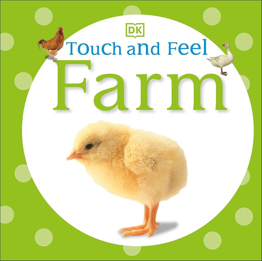 Touch and Feel: Farm | Amazon (US)