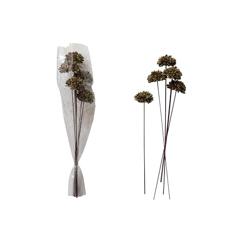 Creative Co-Op Dried Natural Sesame Flower Bunch, Green | Amazon (US)