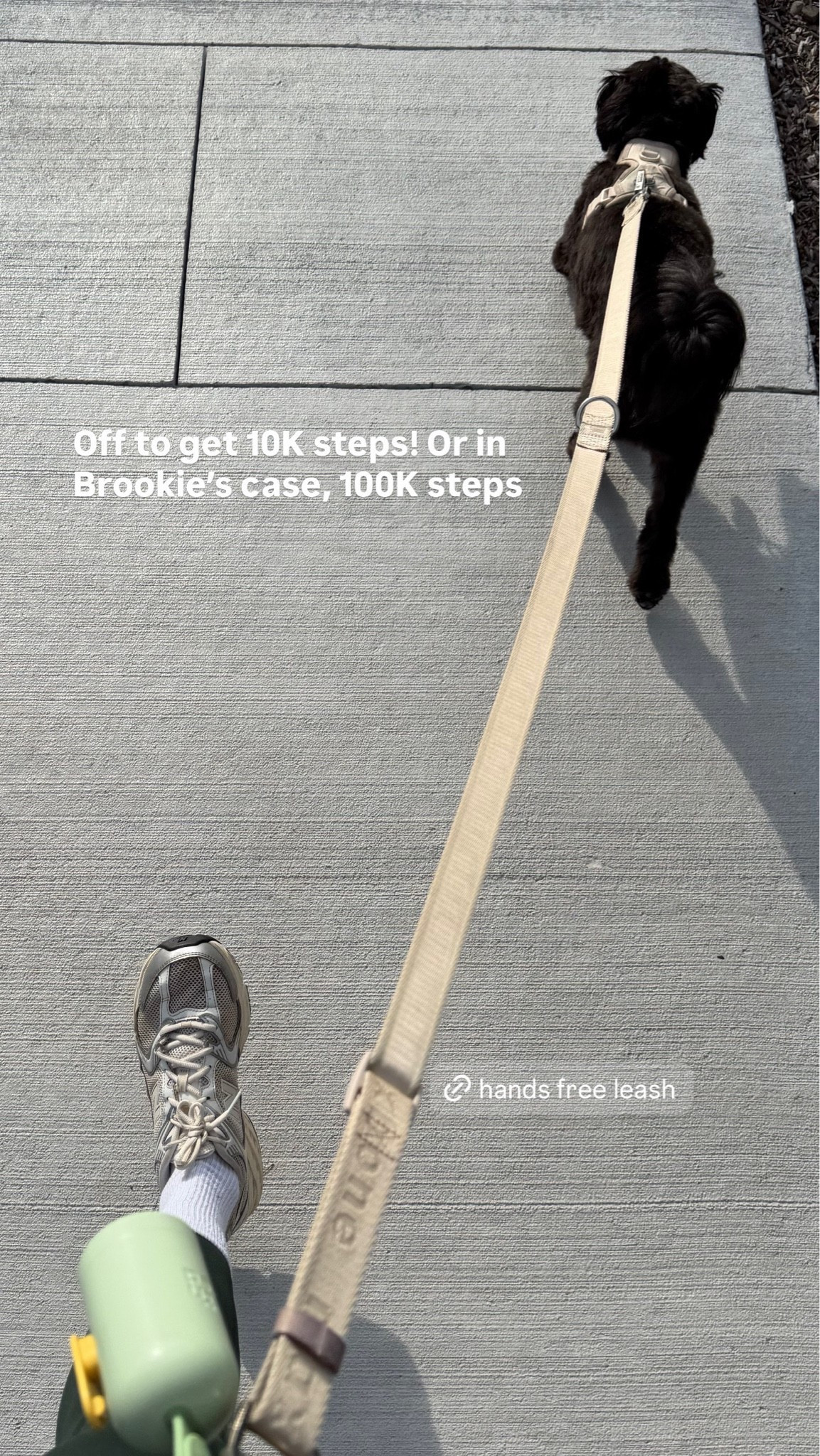 Hands free leash for the dog moms